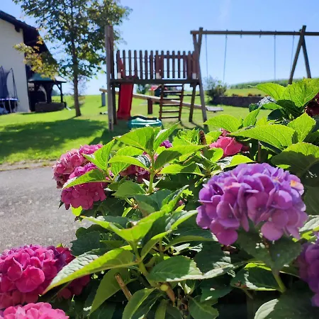 Fruehstuecks-pension Lichtenauer Hof Guest house Thyrnau